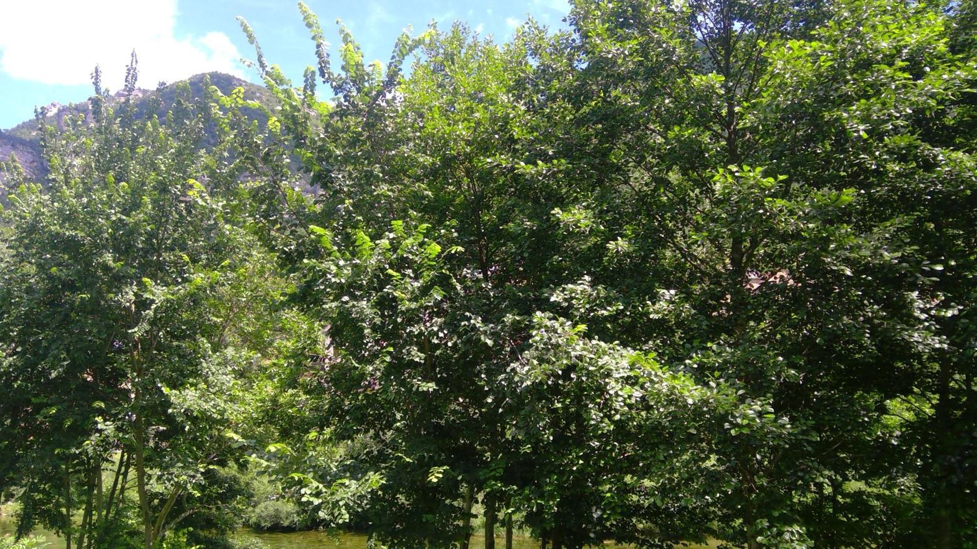 Moulin De Parayre Bed & Breakfast *